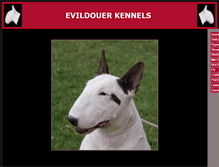 Tablet Screenshot of evildouer.com